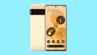 Google Pixel 6 Pro Mobile Service in Chennai