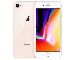 apple iphone 8 Service Center in Chennai, apple iphone 8 Display Repair, Combo, Touch Screen, Battery Replacement, Screen Replacement, Camera Replacement, Charging Port Replacement, Display Replacement, Ear Speaker Replacement, Motherboard Replacement, Speaker Replacement, Water Damage, Wifi Antenna Replacement, Mic Replacement, Software Update, Front Camera Replacement, On Off Button Replacement in Chennai